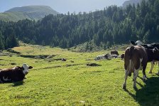 28.07.-04.08.2024 Konditionierungs-Trainingslager in Rauris